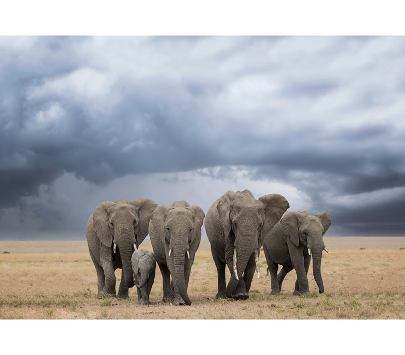Wrapped Canvas Print, 60.96 cm H x 91.44 cm W