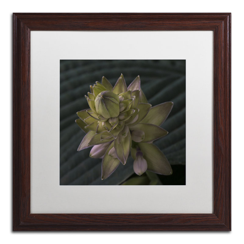 Early Hosta Flower Abstract Framed Canvas Print in Brown Wooden Frame