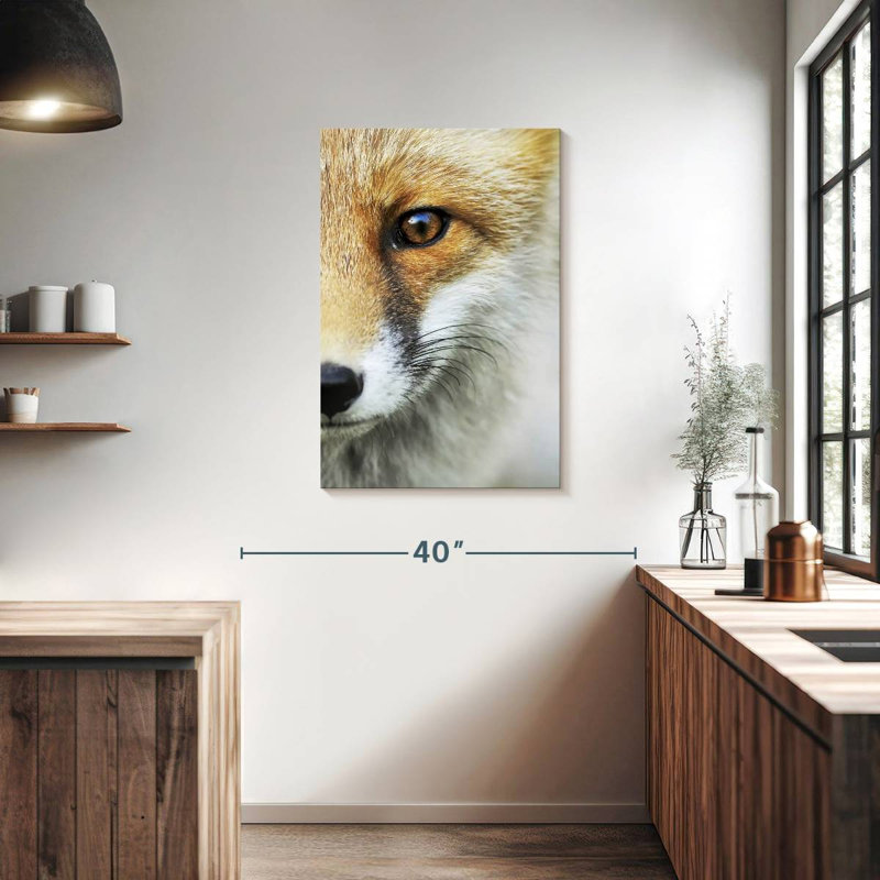Le regard d'un renard, H 36 po x l 24 po