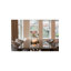 Pippa Upholstered Dining Chair-66203113-66203114