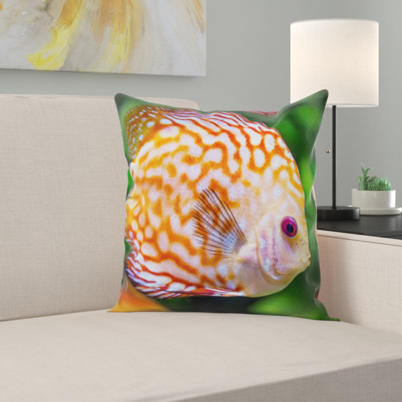 Coussin discus fish