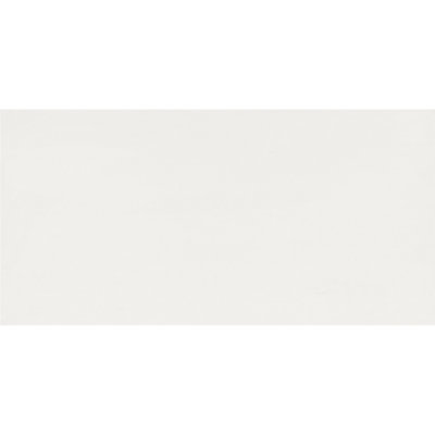 Refinery 24'' W x 48'' L Porcelain Singular Tile