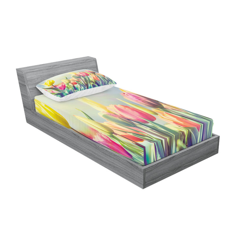 Multicolore drap-housse et coussin décoratif Ambesonne, Ensemble de draps pour lit simple + 3 pièces supp