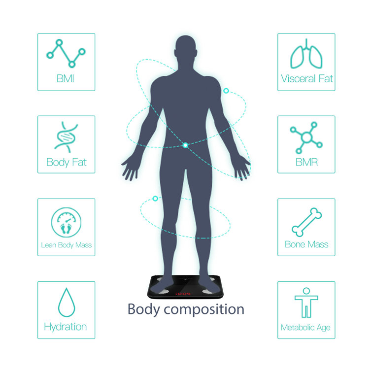 https://assets.wfcdn.com/im/45316237/resize-h755-w755%5Ecompr-r85/2251/225159103/Noerden+Smart+Digital+Glass+Body+Analysis+Scale.jpg