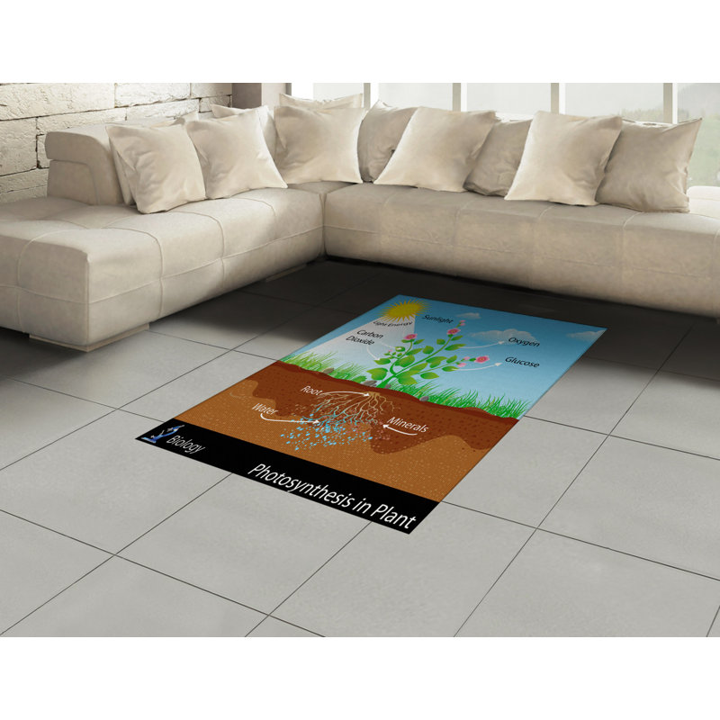 Tapis décoratif à longues fibres en fibres à haute densité Science, Rectangle 2 pi 7 po x 5 pi
