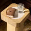 Rumi End Table-Light Natural Mango