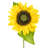 Mixed Assortment Arrangement