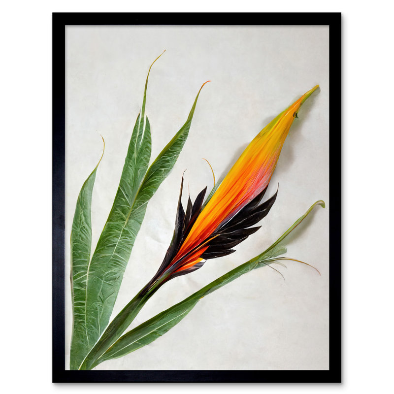 Bird Paradise Tropical Plant Flower Leaves - Single Picture Frame Print