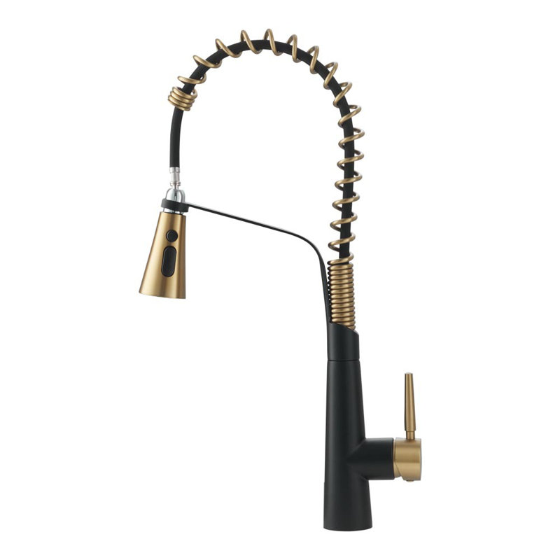 Belfry Kitchen Dunfee Pull Out Kitchen Faucet, Matte Black/Gold