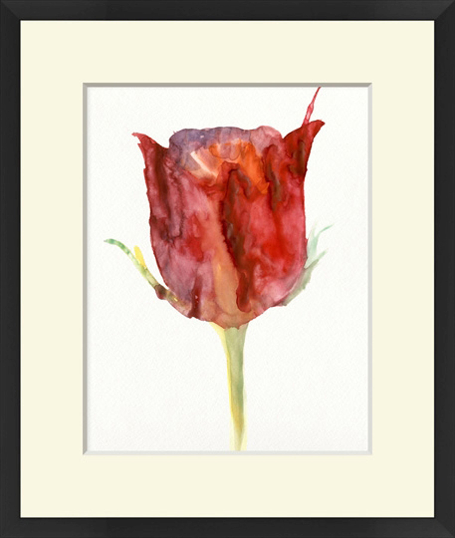 Wendover Art Group Tulip Study 3 - Picture Frame Painting on Paper ...