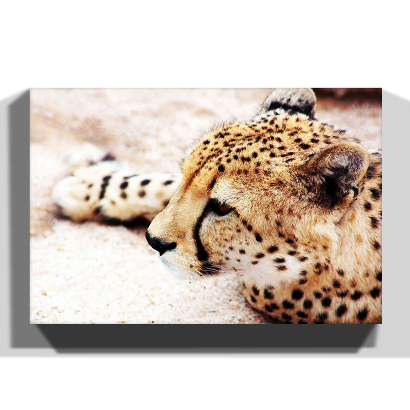 Wrapped Canvas Print, 50cm H x 76cm W