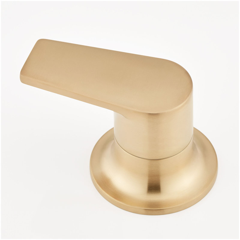 Berwyn 4-Hole Roman Tub Faucet and Hand Shower with Rough-In Valve - Brushed Gold, Brushed Gold