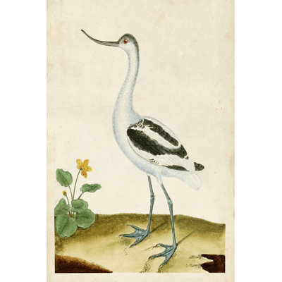 " Heron Portrait VIII "