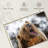 Roaring Grizzly Bear-107502743