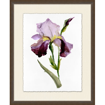 Iris 2 Print