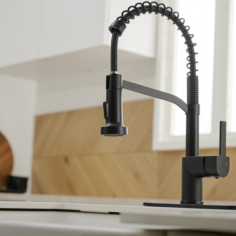 Pull Down Single Handle Kitchen Faucet with Accessories