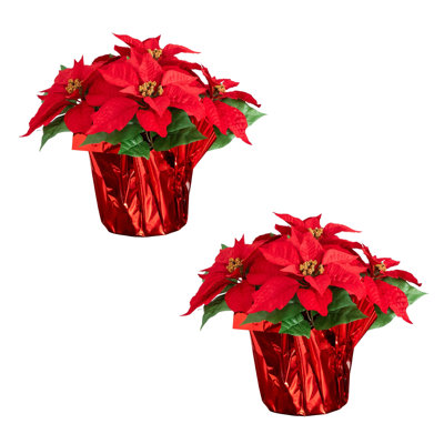13in. Artificial Poinsettia Arrangement in Red Wrapped Planter - Set of 2