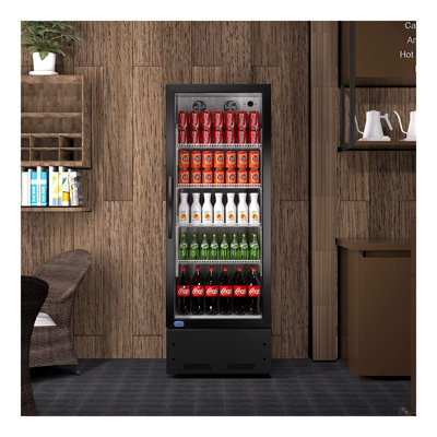 Commercial Display Refrigerator, Upright Swing Glass Door Merchandiser Fridge with LED Lightning, Reach-in Beverage Cooler for Shop Restaurant, ETL Ap | Fridge.com