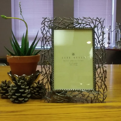 Meier Black Metal Picture Frame