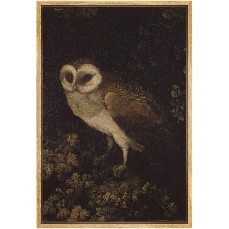 Oiseau, animaux sauvages, hibou, décor de ferme, animaux de la nature rustique, art moderne, décor douillet encadré sur toile