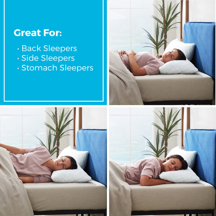 Medium Plush Pillow for Back Sleepers