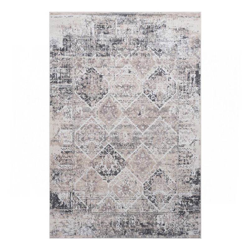 5X7 Cream/Anthracite /Traditional Non-Shedding Living Room Bedroom Dining Home Office Stylish And Stain Resistant Area Rug