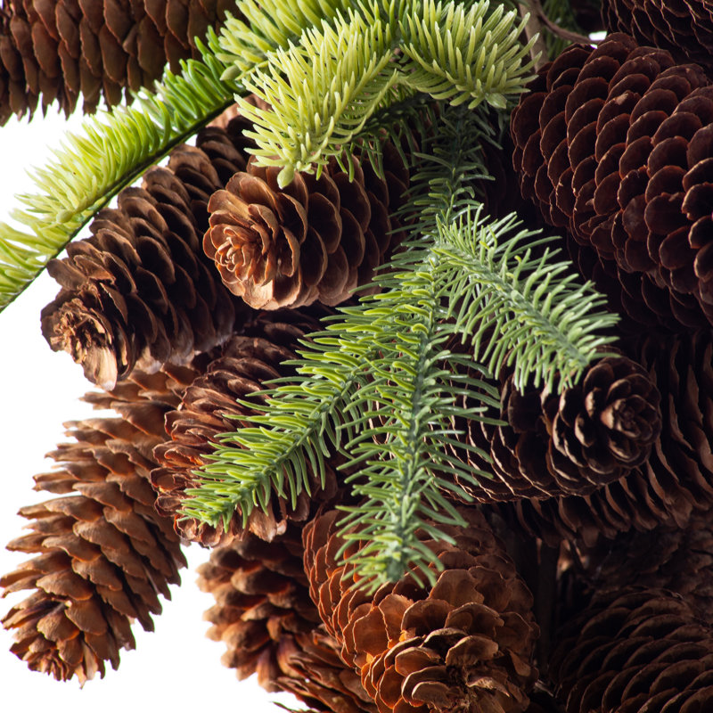 Pinecone et pin