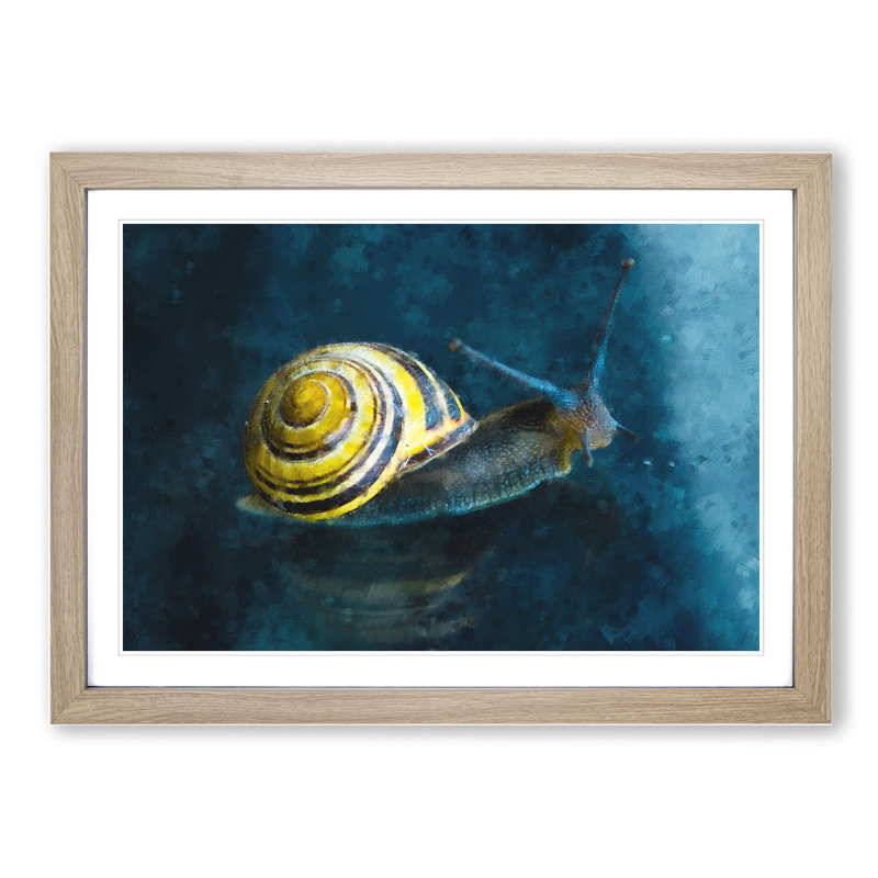Yellow Snail - Picture Frame Graphic Art, 36cm H x 48cm W x 2cm D, Oak Framed