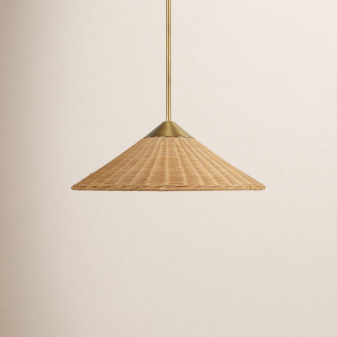 Vonetta 1 - Light Antique Brass Cone Pendant Birch Lane™