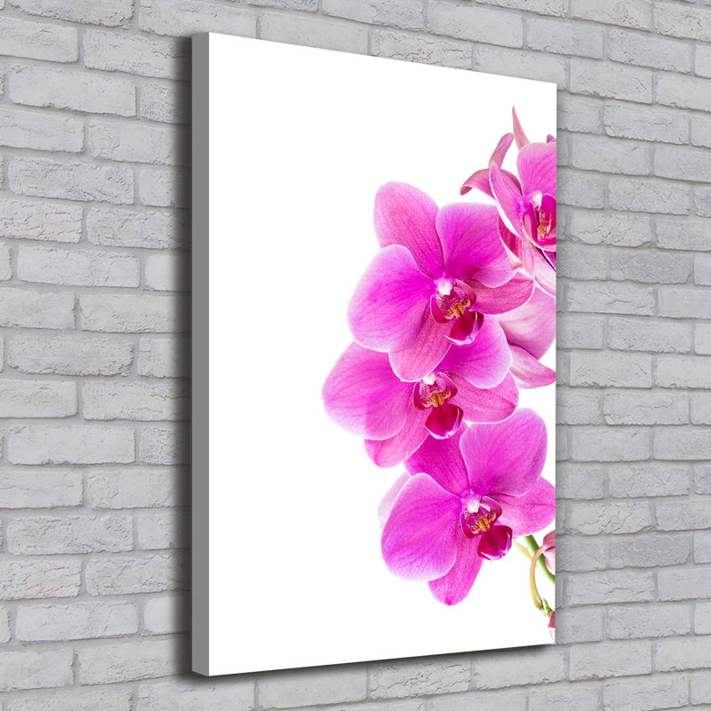 Pink Orchid - Wrapped Canvas Print