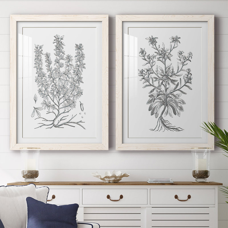 «B&W Plant Spechantillon», reproduction encadrée de qualité supérieure - prête à être accrochée, Blanc
