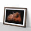 Highland Cow in the Shadows - Picture Frame Painting Print on MDF-55580280-55580277