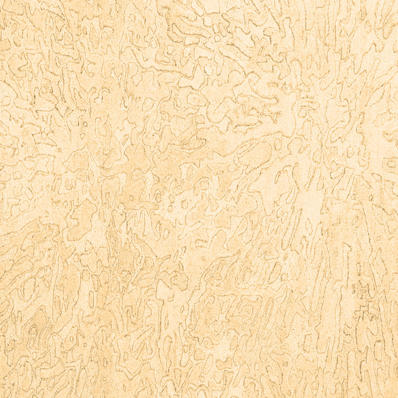 Tapis brun contemporain lavable à la machine 2598, Carré 8 pi
