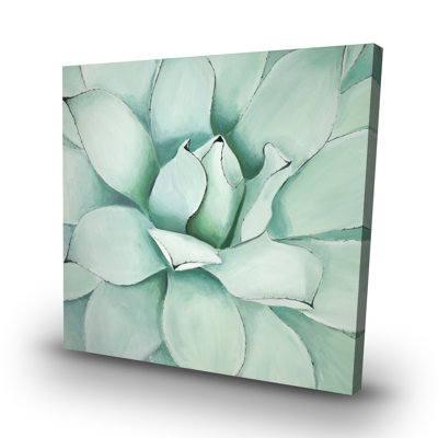 Succulent closeup - 32"x32" art on canvas
