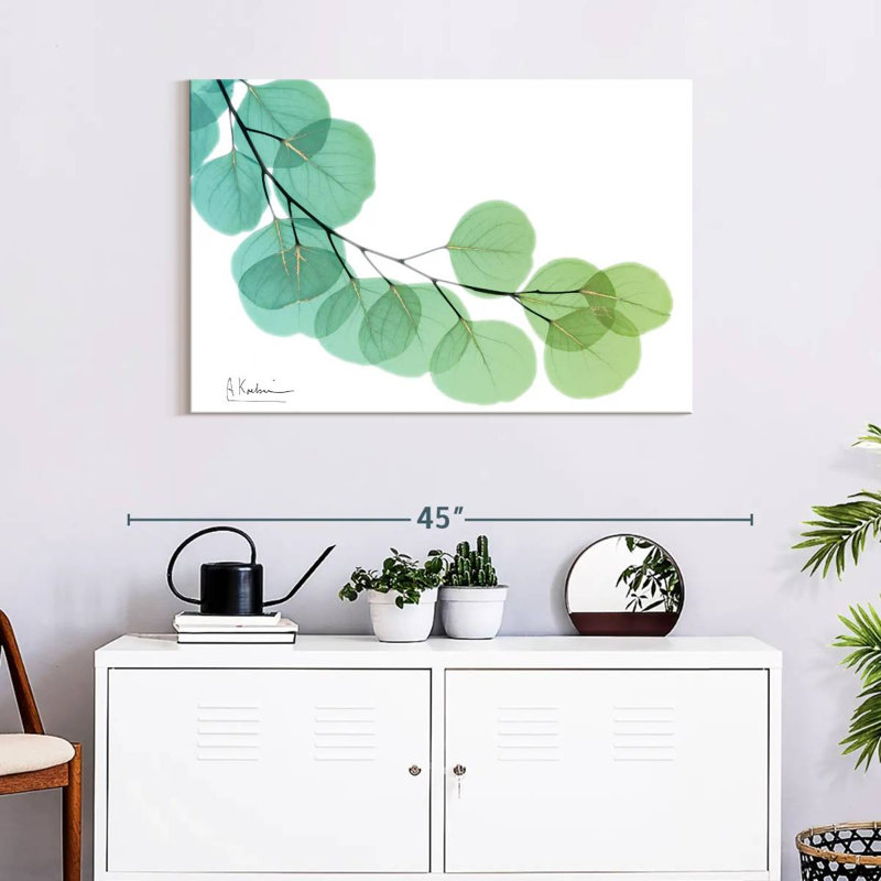 Harnek Golden Eucalyptus, 24" H x 36" W