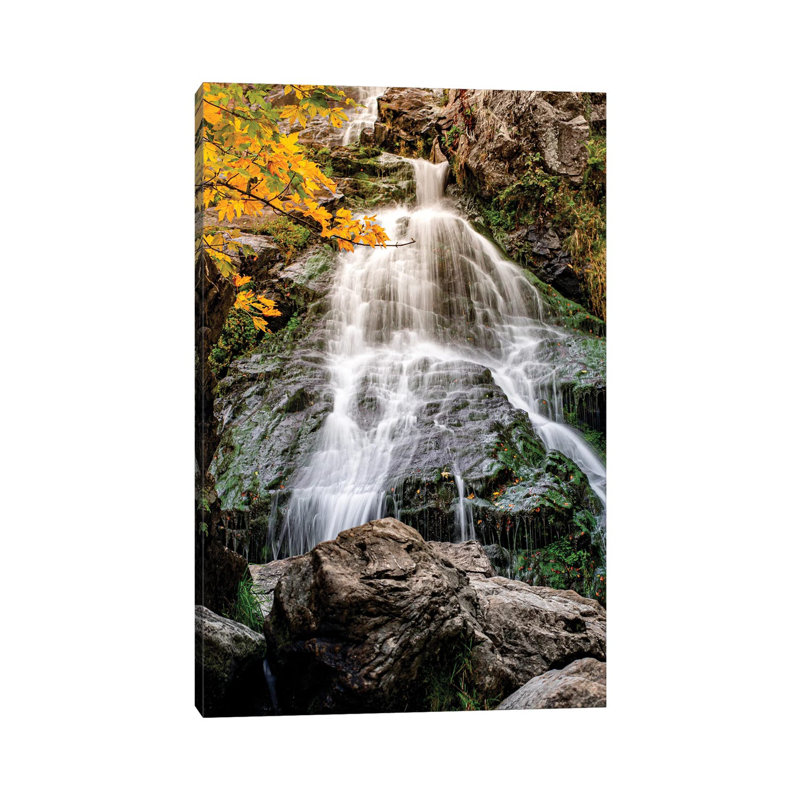 Germany Wilderness Waterfall By Nik Rave - Wrapped Canvas Graphic Art by Nik Rave - Wrapped Canvas Gallery-Wrapped Canvas Giclée
