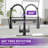 Pull Down Single Handle Kitchen Faucet with Accessories-70472616