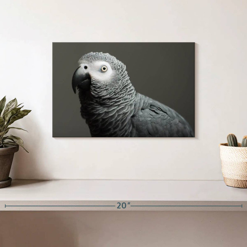 African Grey Parrot, 8" H x 12" W