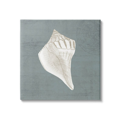 " Conch Seashell Stipple Pattern "