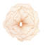 Décoration murale coquelicot-48423044