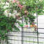 Ensemble de 2 treillis de jardin en métal