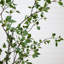 Anzavia 84'' Faux Foliage Tree in Pot