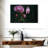 Harnek Blossoming Orchid Flowers