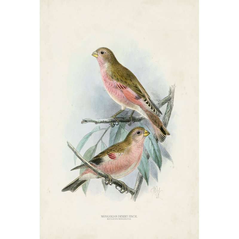 Antique Birds IV - Painting, 122 cm H x 81 cm W, Wrapped Canvas
