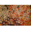 Tapis d'entrée de qualité supérieure, impression numérique 3D, 39,4 x 59,1 pouces | 100% polyester, antibactérien, antidérapant | Hauteur des poils: 0,04 po, lavable à la machine, idéale pour décorer le salon et le vestibule-911416830