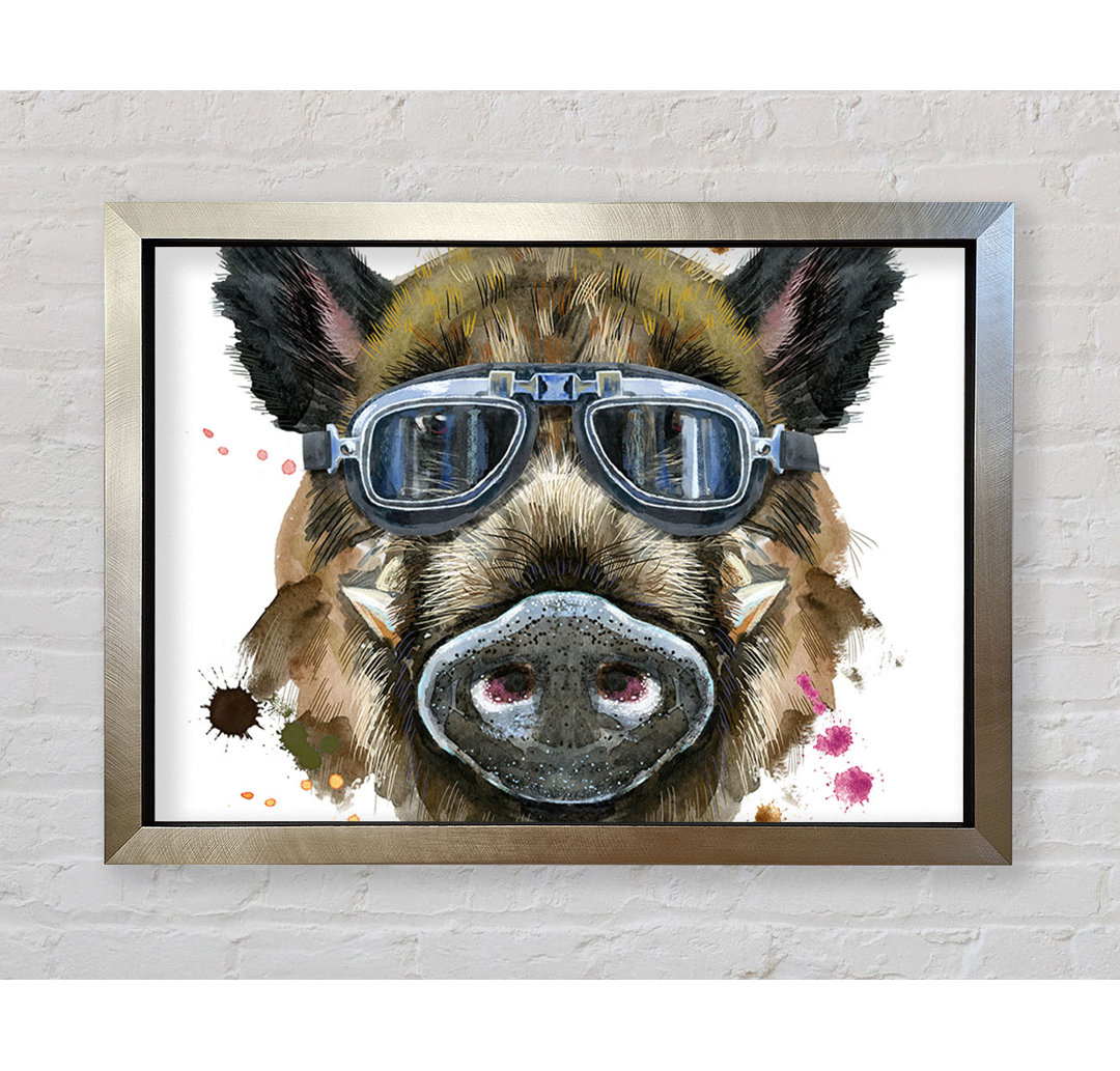 Das Wildschwein mit Brille - Einzelne Bilderrahmen Kunstdrucke