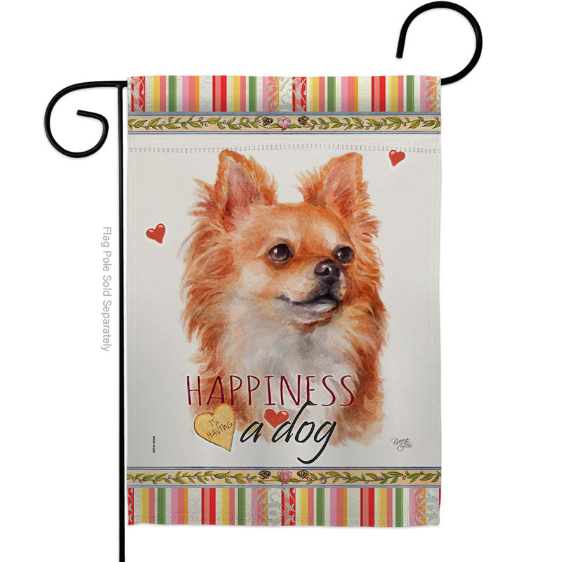 Coussin décoratif à 2 faces en polyester 20 x 13 po Bulldog Happiness-impressions Drapeau pour la maison, Chihuahua brun