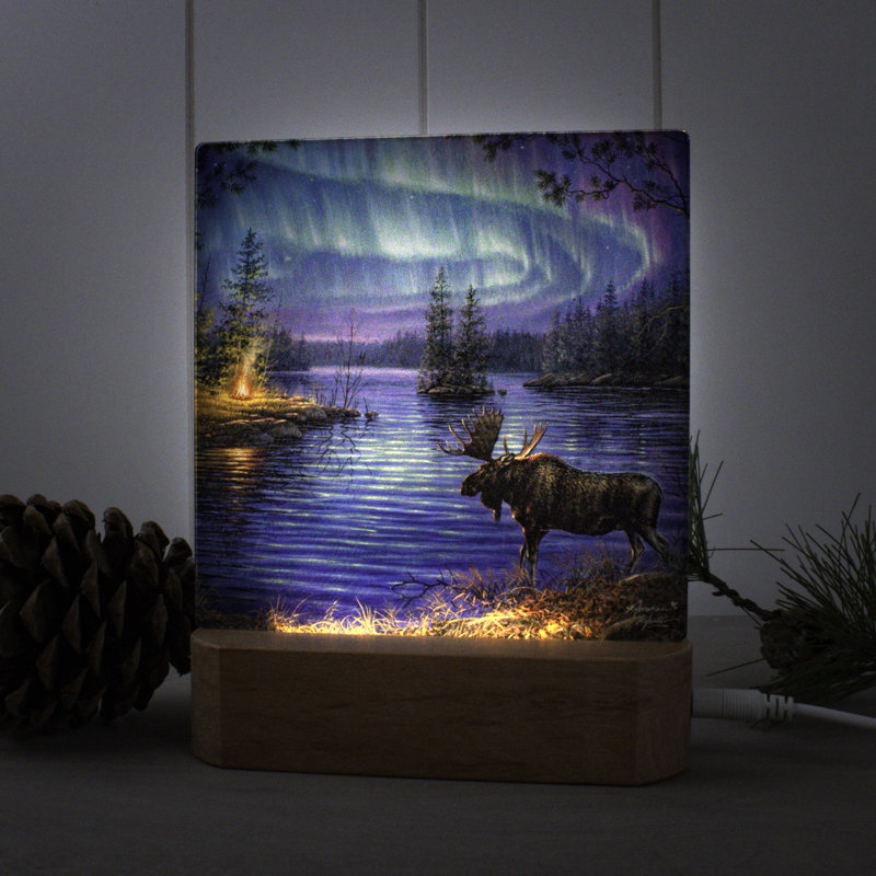 Veilleuse Northern Night