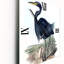 Horloge murale oiseaux australiens III-334551619