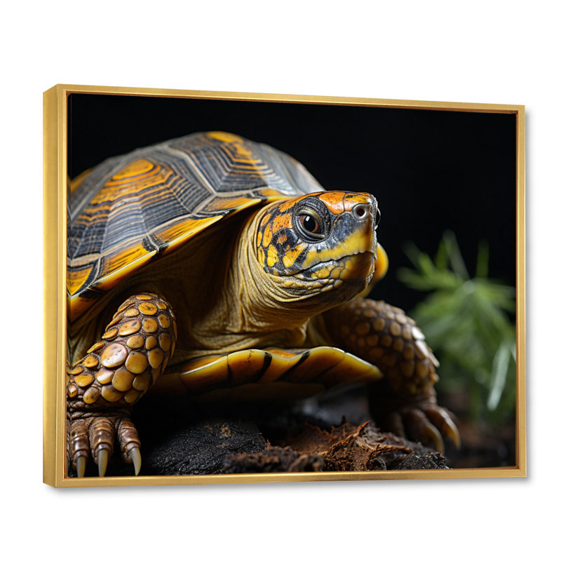 Gros plan sur une tortue, portrait sur toile, H 12 po x l 20 po x P 1 po, Cadre flottant doré
